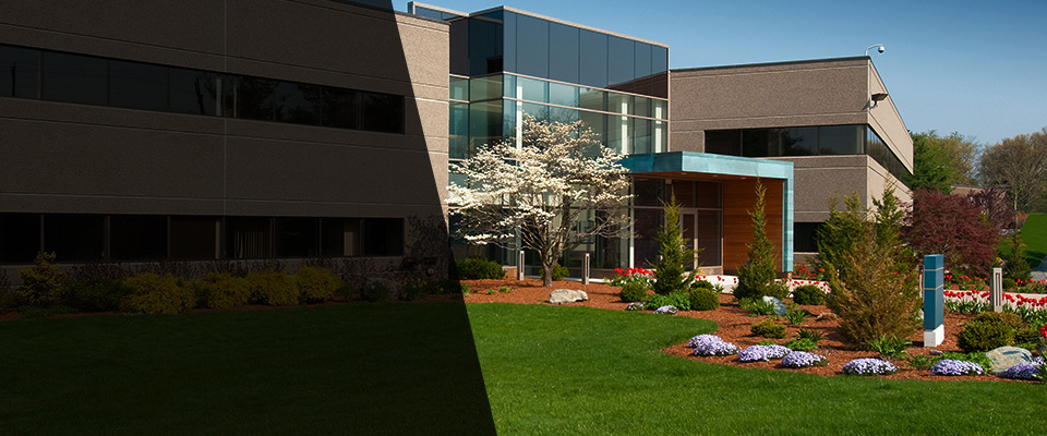 Mashpee Landscapers