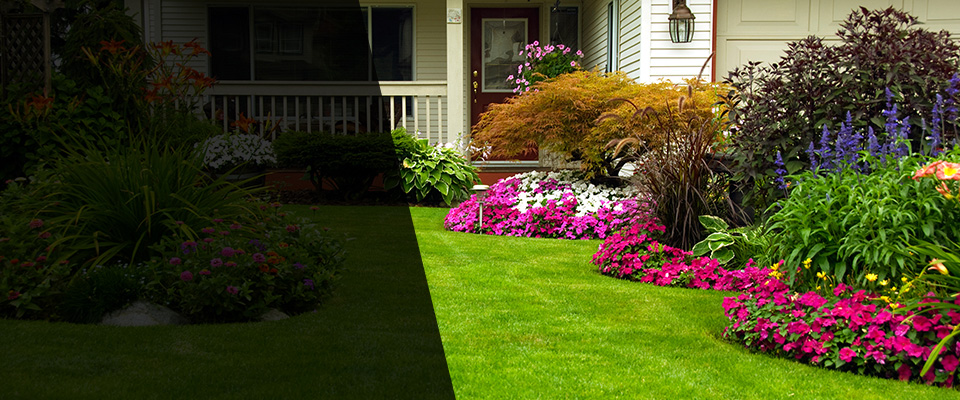 Mashpee Landscapers