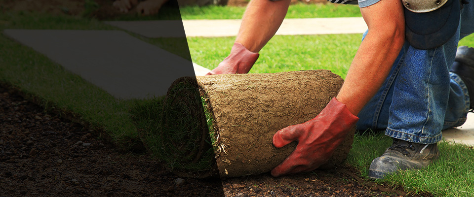 Mashpee Landscapers